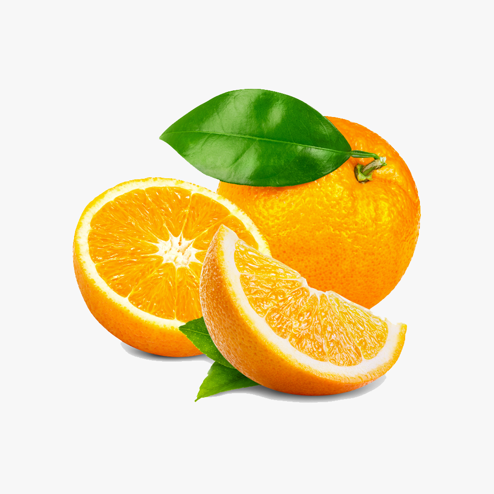 Organic_components_12